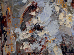 closeup of study detail